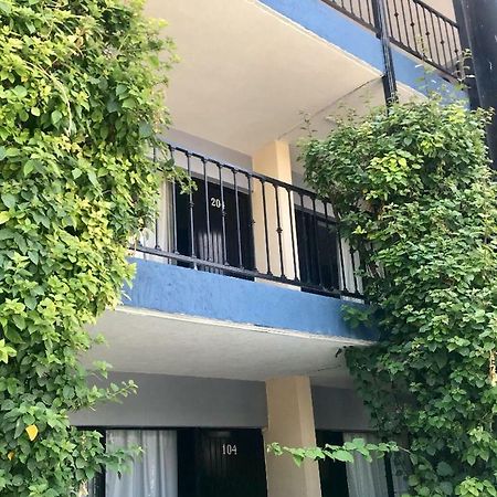Hotel Nuevo Vallarta Zapopan Eksteriør bilde